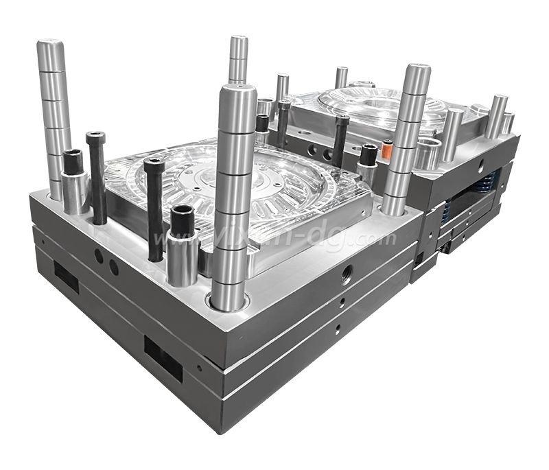 Body Building Plastic Enclosure Double Color Two Shot Mold High Mirror Polish Mould Overmolded parts Overmolding Injection Molding