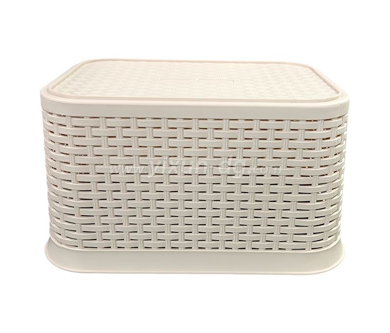 China Guangdong Dongguan Mold Maker Plastic Storage Basket Plastic Manufacturing and Mold Tooling