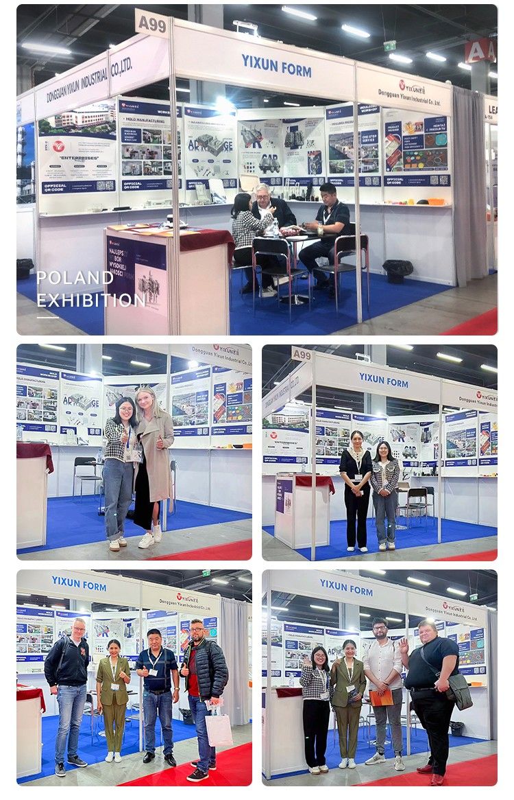 China Guangdong Dongguan mold maker clear and transparent provider of mold and parts in acrylic plastic mold and moulding